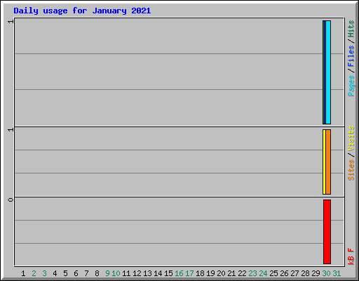 Daily usage for January 2021