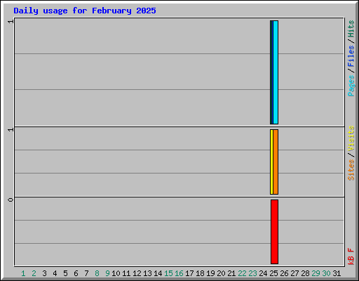 Daily usage for February 2025
