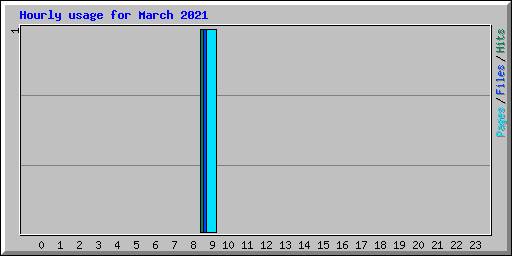 Hourly usage for March 2021