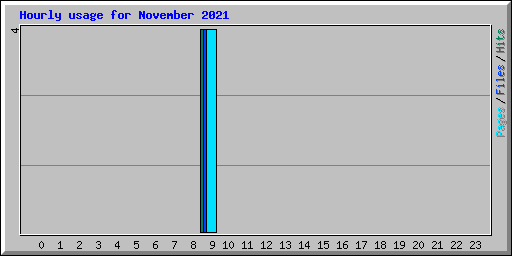 Hourly usage for November 2021