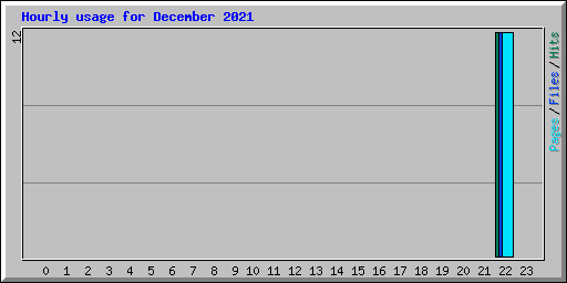 Hourly usage for December 2021