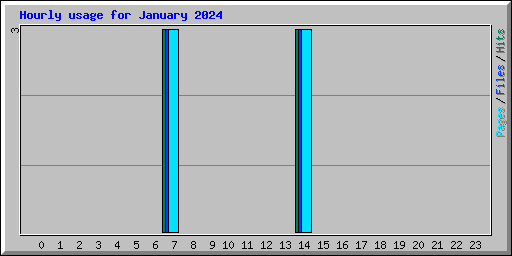 Hourly usage for January 2024