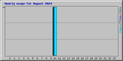 Hourly usage for August 2024