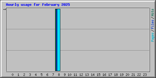 Hourly usage for February 2025