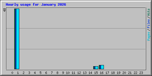 Hourly usage for January 2026